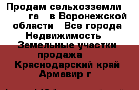 Продам сельхозземли ( 6 000 га ) в Воронежской области - Все города Недвижимость » Земельные участки продажа   . Краснодарский край,Армавир г.